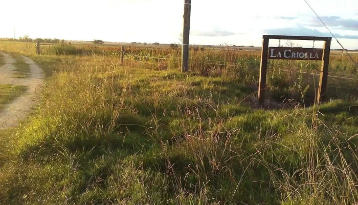 La Criolla -  Comentarios - José Enrique Rodó