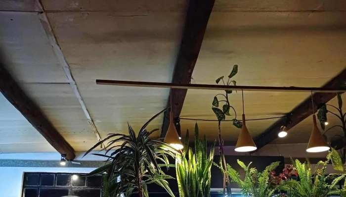 La Curanderia Comentario 2 - Maldonado