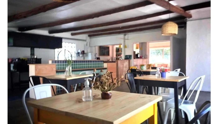 La Curanderia Del Propietario - Maldonado