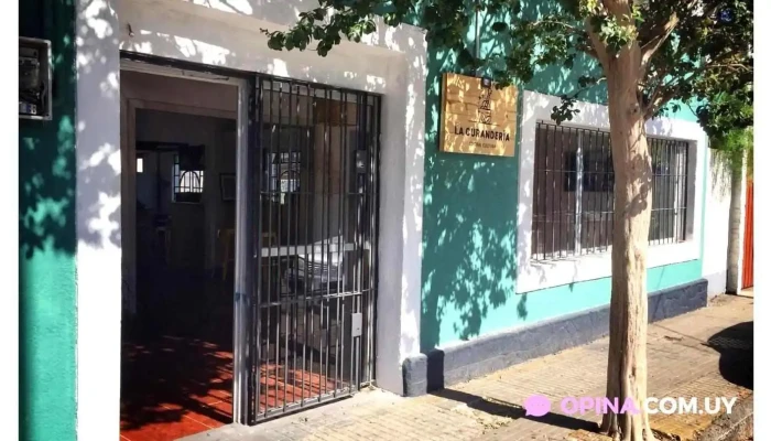 La Curandería - Maldonado La Curandería - Maldonado