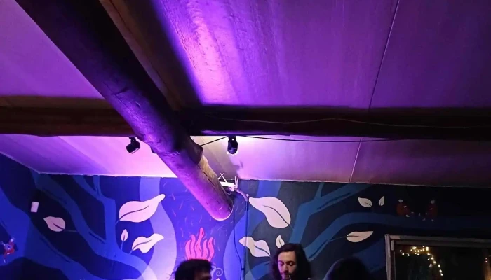 La Curanderia Recientes - Maldonado