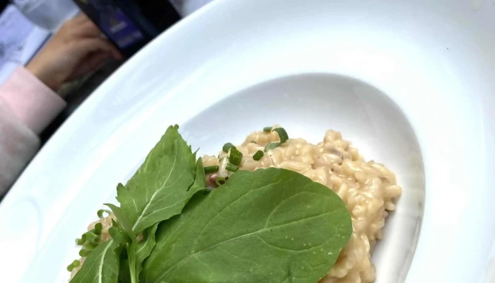 La Diagonal -  Comentario 4 - Montevideo