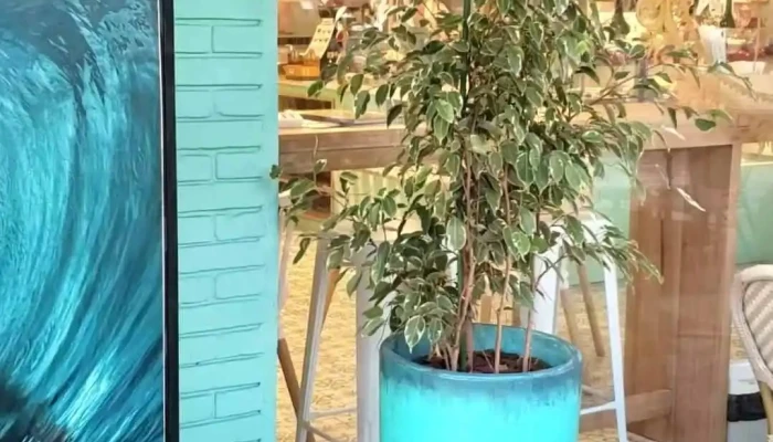 La Dulceria Xime Torres -  Videos - Montevideo