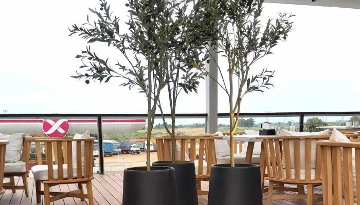 La Estacion Salto -  Comentario 7 - Salto