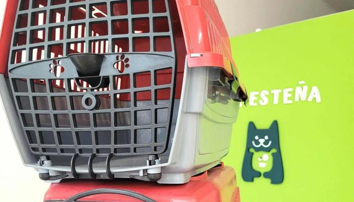 La Estena Descuentos - Treinta y Tres