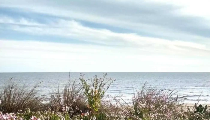 La Floresta -  Playa - La Floresta