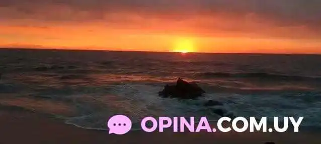 La Floresta -  Videos - La Floresta