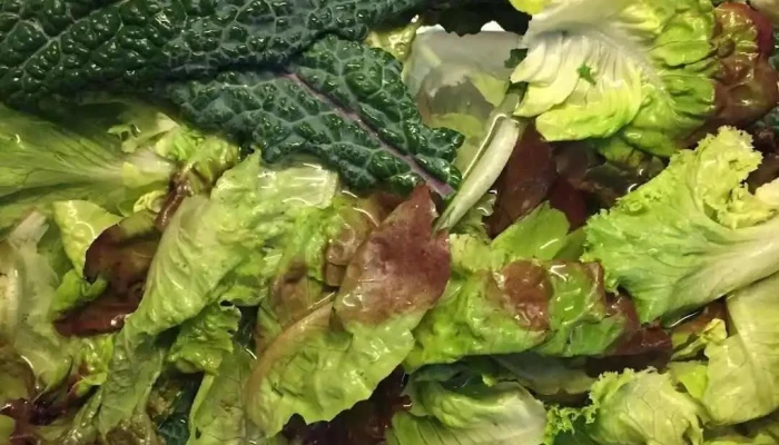 La Fonda -  Del Propietario - Montevideo