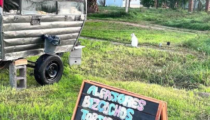 La Gordis Carrito -  Del Propietario - Ciudad del Plata
