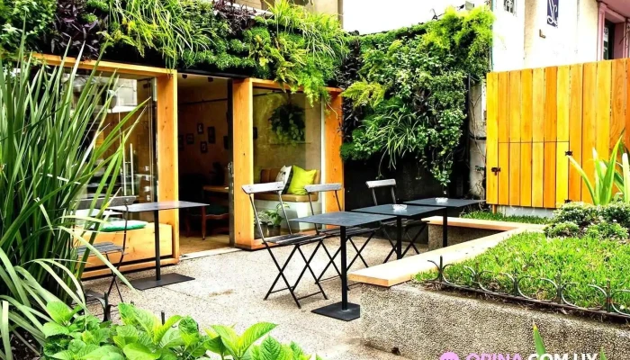 La Latina Cafe Del Propietario - Montevideo