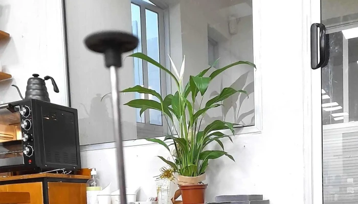 La Libreria -    Gl Grupo Libros Fotos - Montevideo