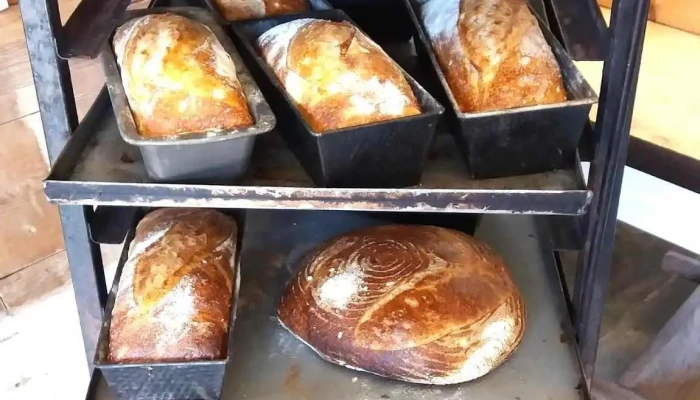 La Linda Panaderia Y Cafe Masa Madre - Manantiales