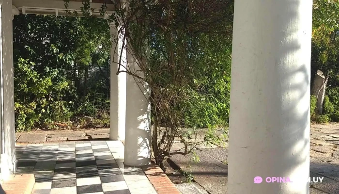 La Linda Panaderia Y Cafe Videos - Montevideo