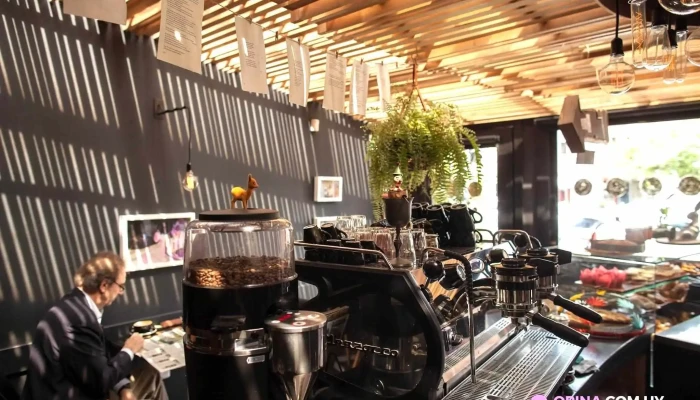 La Madriguera Cafe Ambiente - Montevideo