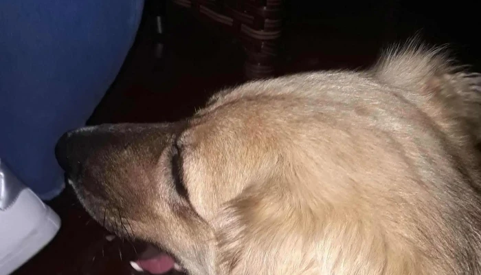 La Malteria -  Comentario 1 - Tarariras