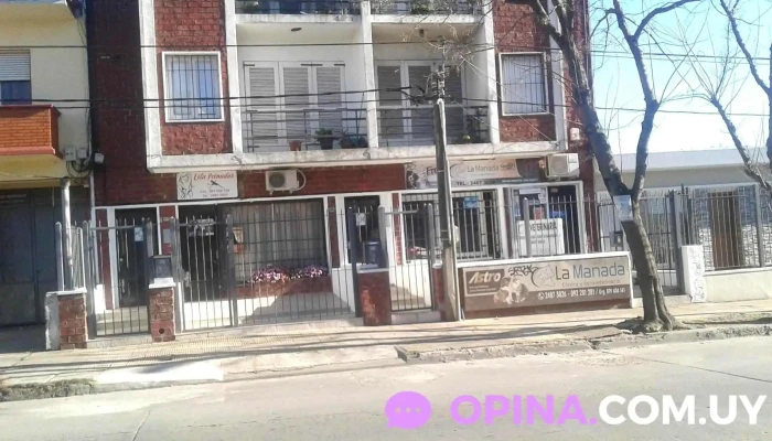 La Manada - 11600 Montevideo