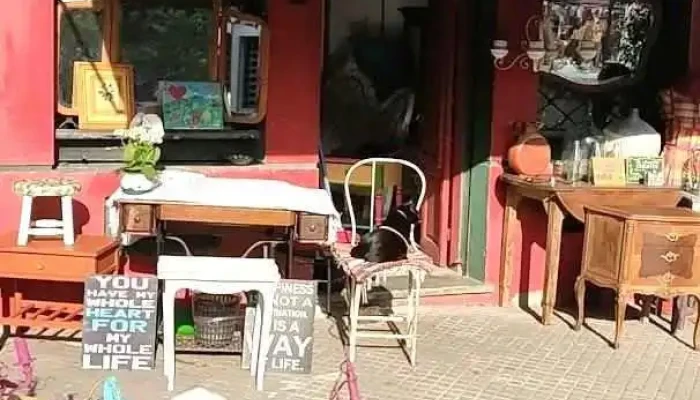 La Metropolitana -  Videos - Montevideo