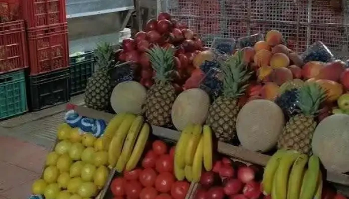 La Nueva Lezica -  Videos - Montevideo