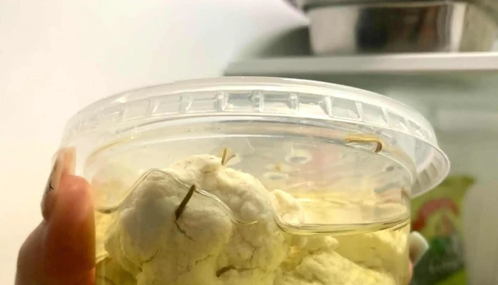 La Oveja Negra Veganfood Comentario 9 - Montevideo