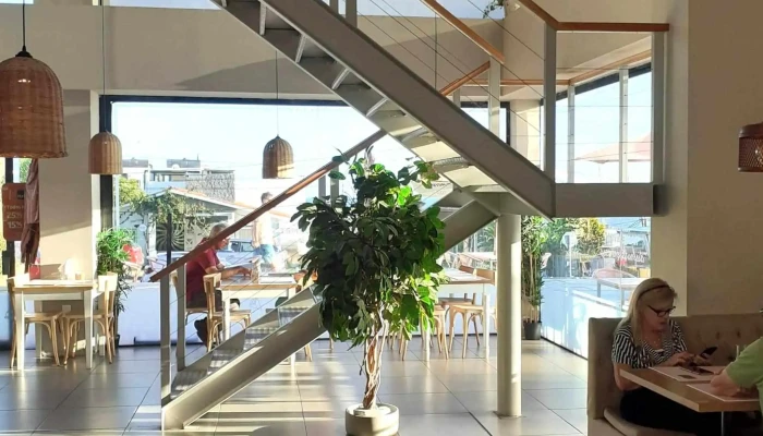 La Panera Rosa La Barra -  Comentario 3 - La Barra