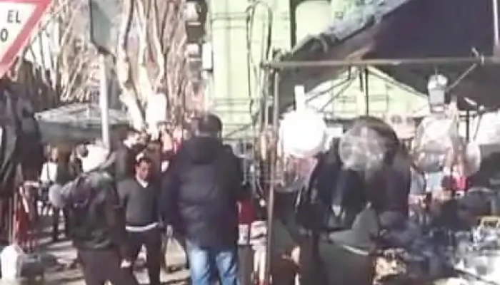 La Paponita Videos - Montevideo