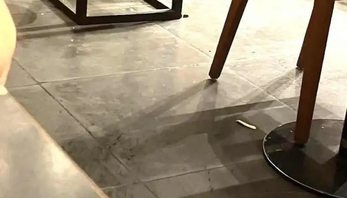 La Pasiva Costa Urbana -  Mas Recientes - Ciudad de la Costa