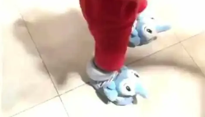 La Pasiva De Roosvelt -  Videos - Maldonado