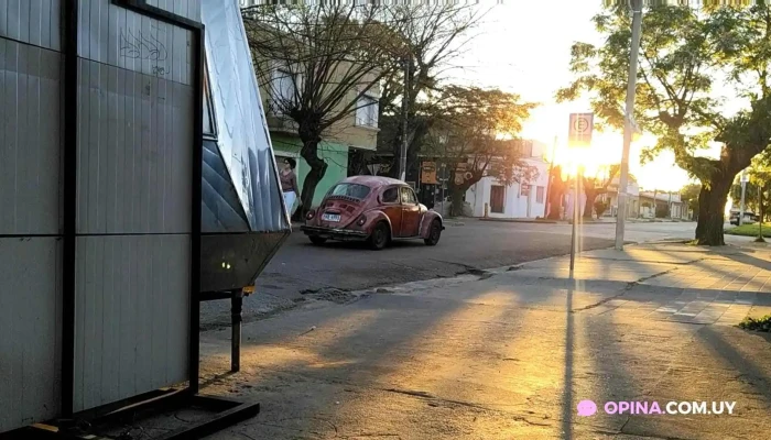 La Paz -  Todas - La Paz