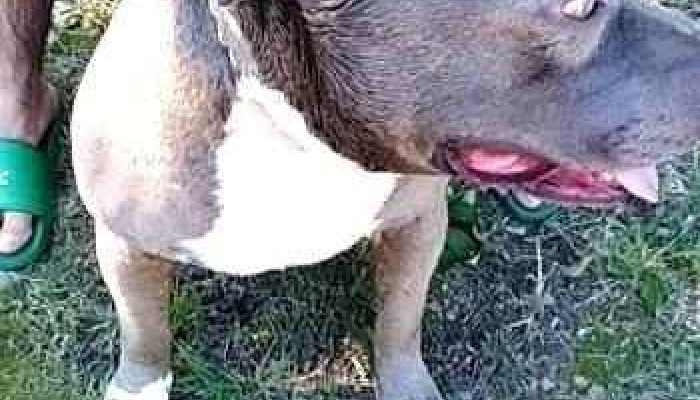 La Paz -  Videos - La Paz