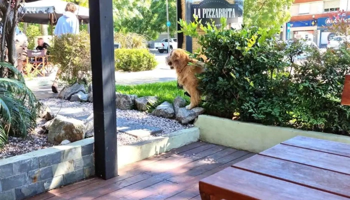 La Pizzarrita -  Ambiente - Montevideo