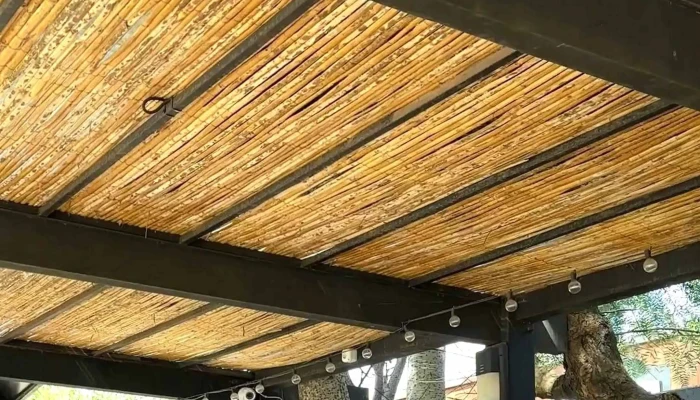 La Pizzarrita -  Comentario 4 - Montevideo