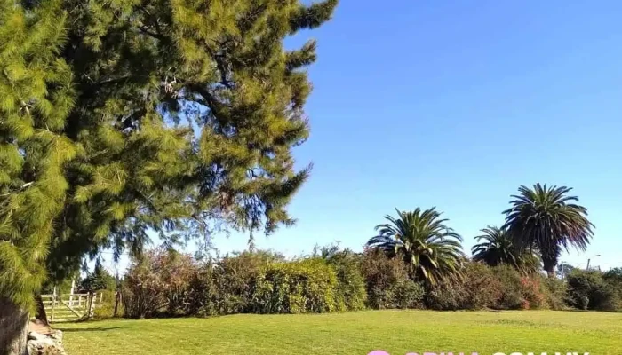 La Posada De Ofelia -  Del Propietario - Nueva Helvecia