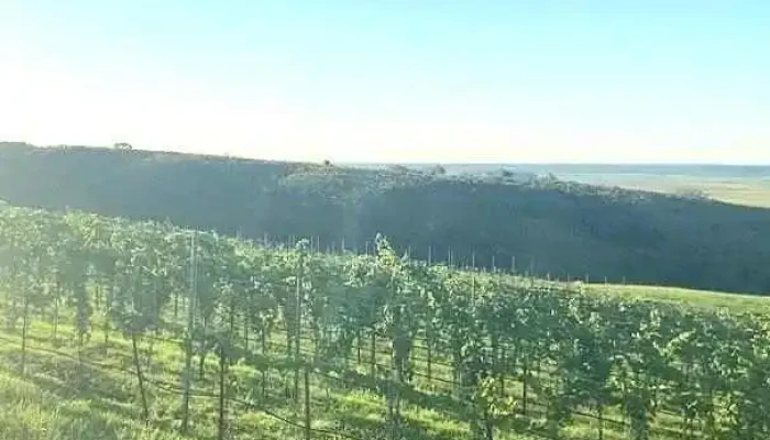 La Posada Del Minero -  Mas Recientes - Minas de Corrales