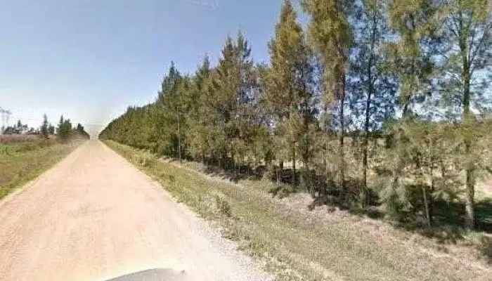 La Posada Del Obrero El Gaby Todas - Canelones