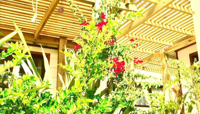 La Posadita -  Todas - La Juanita