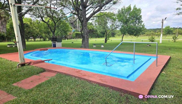 La Posta Del Dayman Mas Recientes - Salto