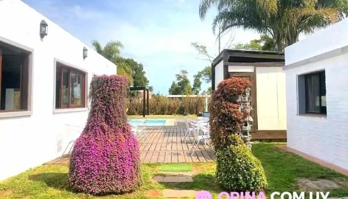 La Quinta Hostel Suites Todas - El Tesoro