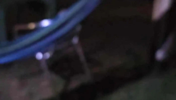 La Quinta Hostel Suites Videos - El Tesoro