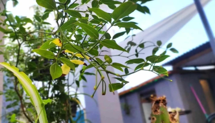 La Resi Residencia Universitaria -  Opiniones - Rivera