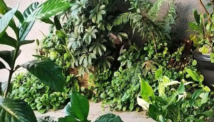 La Resi Residencia Universitaria -  Videos - Rivera