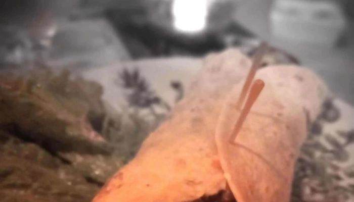 La Revuelta -  Comentario 5 - Juan L. Lacaze