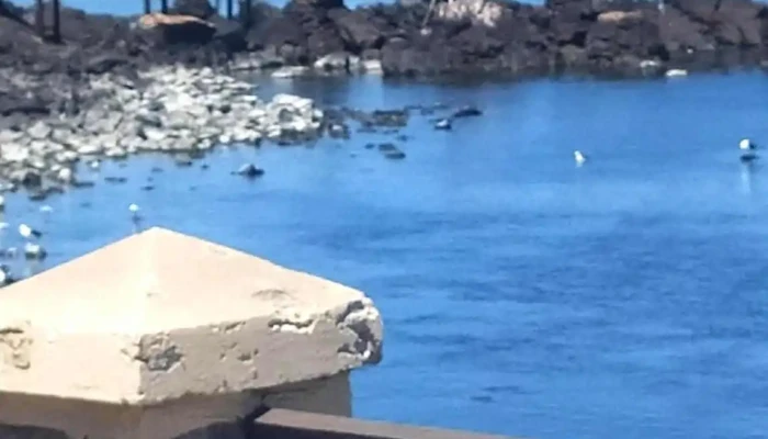 La Rinconada -  Todo - Piriápolis