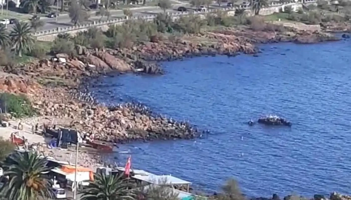 La Rinconada -  Videos - Piriápolis