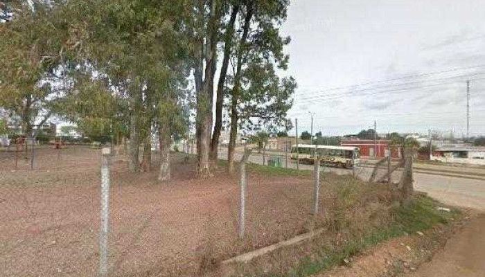 La Ronda De Los Libros -  Puntajedeg - Melo