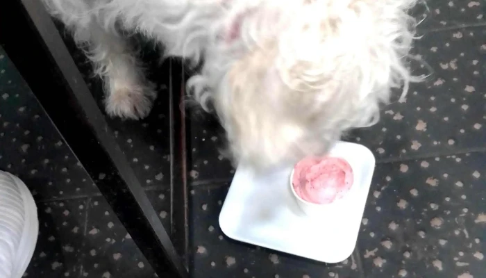 La Ruta Del Sabor -  Comentario 4 - Salto