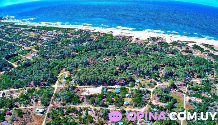 La Serena Concept -  Abierto Ahora - La Paloma