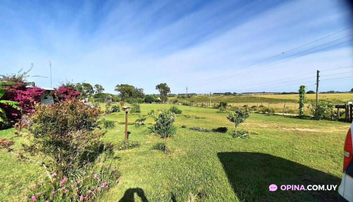 La Sonada De Los Visitantes - Florida