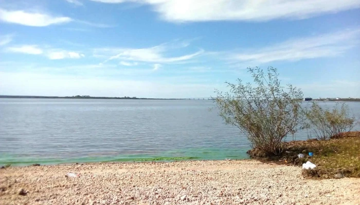 La Toma -  De Los Visitantes - Fray Bentos