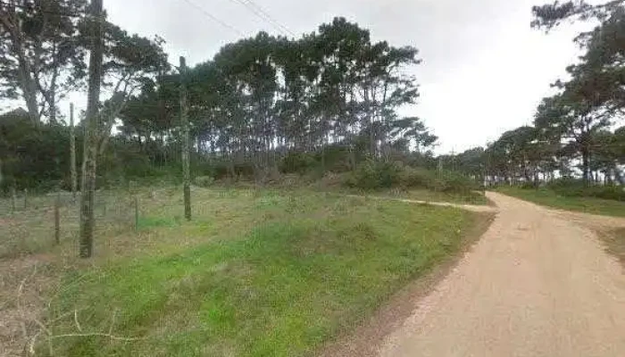 La Uruguaya -  Street View Y 360 - Ocean Park