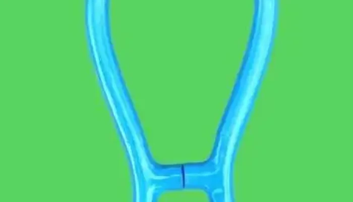 La Vieja Escuela - Dolores